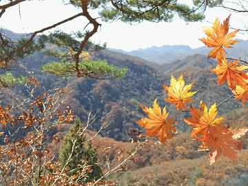 天水成紀(jì)新城最新動態(tài)，蓬勃發(fā)展中的未來之城